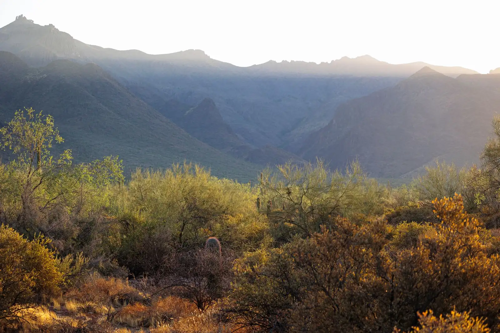 Sunrise light over desert mountains and scrub in Arizona
